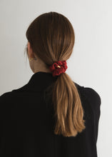 画像をギャラリービューアに読み込む, VELVET(Red)