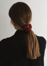 画像をギャラリービューアに読み込む, VELVET(Red)