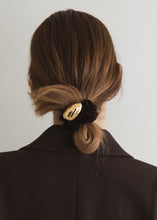 画像をギャラリービューアに読み込む, E-VELVET(Brown)