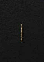 画像をギャラリービューアに読み込む, PIN 02(Gold)