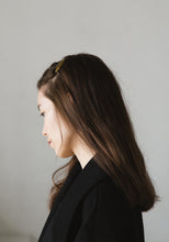 画像をギャラリービューアに読み込む, PIN 01(Gold)